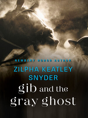 Gib and the Gray Ghost - ebook